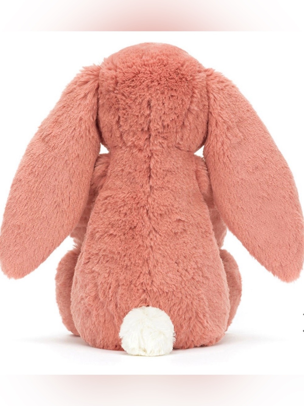 Jellycat Bashful Sorrel Bunny Mauve Pink Collectible Retired Size Medium - Picture 2 of 10